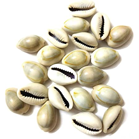 Kodi Sippi 100gm Stationary and School Supplies Neha Nx