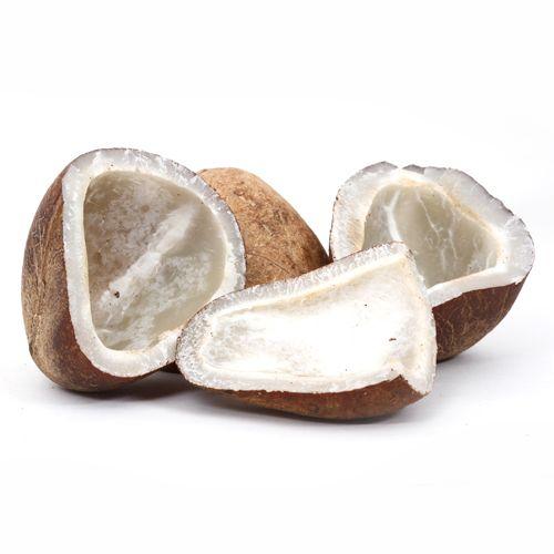 2dry copra coconut ( dry narial) Neha Nx