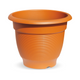 Milton Blossom Mate Planter 1 (710ml) - Planter 7