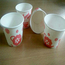 Disposable Products Ashirwad Glass Disposable Products Disposable Products