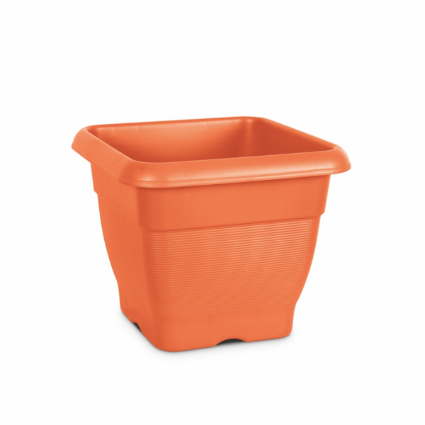 Milton Blossom Mate Square no.3 Home Decor Milton