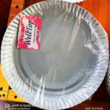 Welltop Thick Paper Plate 25p SSOZ Disposable Products Neha Nx
