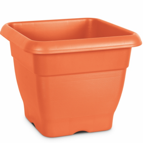 Milton Blossom Mate Square no.6 Home Decor Milton