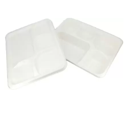 Disposable Products 5 Partition Plate 1P ASG Disposable Products Disposable Products