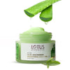 Lotus Herbals Active Aloe + Niacinamide Calm & Brighten Night Gel 50g simple Lotus