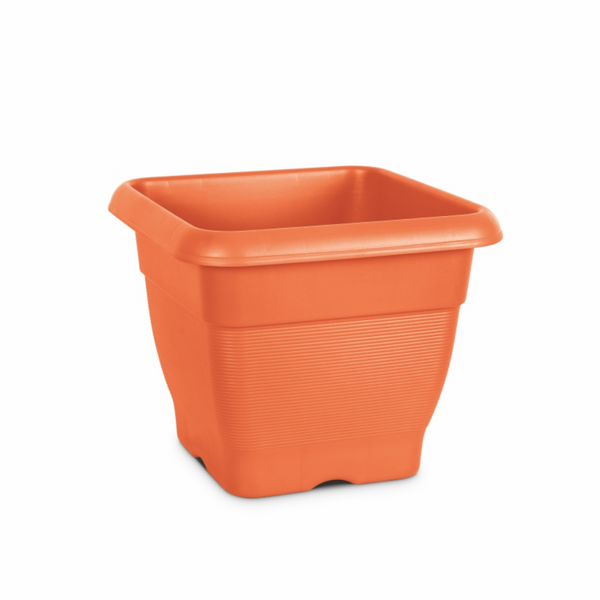 Milton Blossom Mate Square no.1 Home Decor Milton